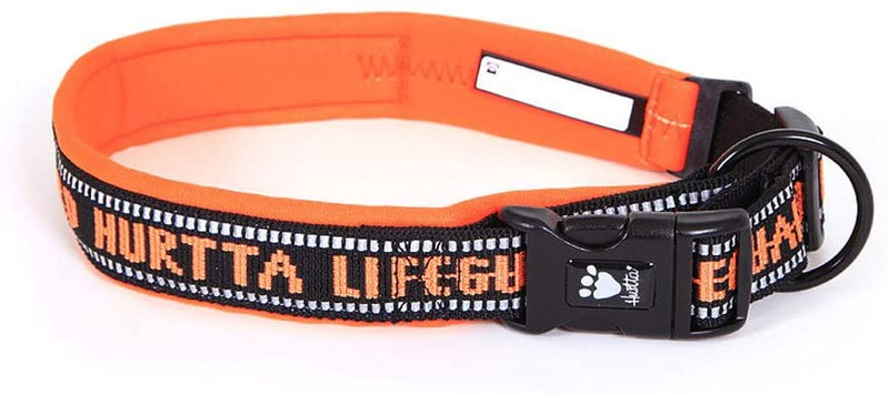 Halsband, Neopren gepolstert, Outlet - ACHTIVEDOG CH