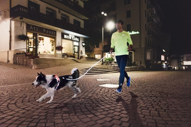 HURTTA Dazzle Halsband, Outlet - ACTIVEDOG - Wir lieben Outdoorhunde!