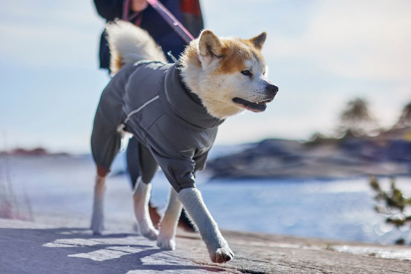 HURTTA Midlayer Overall - ACTIVEDOG.CH - Wir lieben Outdoorhunde!