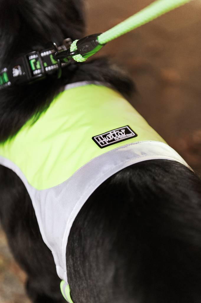 Micro Weste, Outlet - ACHTIVEDOG CH