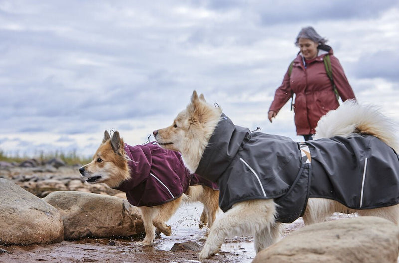 Mudventure Coat Eco - ACTIVEDOG.CH - Wir lieben Outdoorhunde!