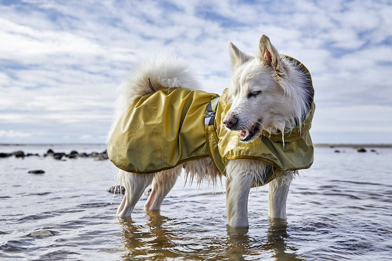 Mudventure Reflective Coat - ACTIVEDOG.CH - Wir lieben Outdoorhunde!