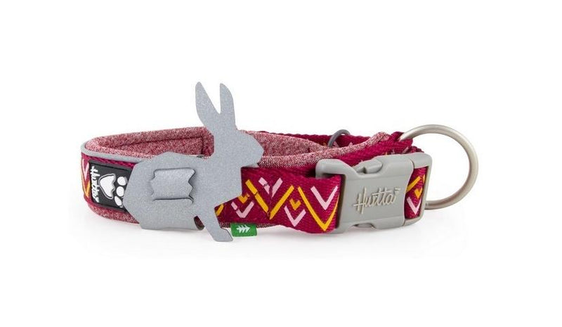 Razzle-Dazzle Halsband - ACTIVEDOG - Wir lieben Outdoorhunde!