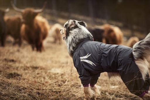 Slush Combat Regenoverall, Outlet - ACHTIVEDOG CH
