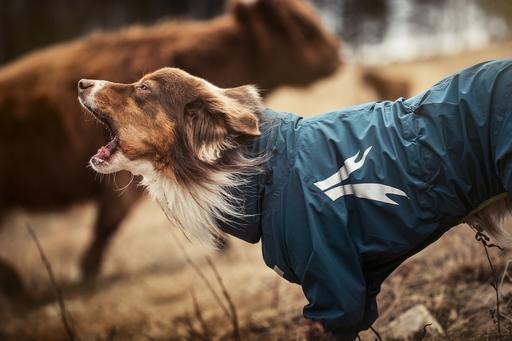 Slush Combat Regenoverall, Outlet - ACHTIVEDOG CH