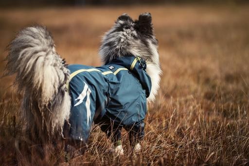 Slush Combat Regenoverall, Outlet - ACHTIVEDOG CH