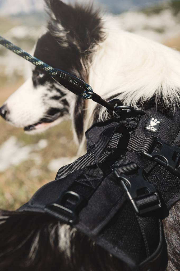 Trail Rucksack - ACHTIVEDOG CH