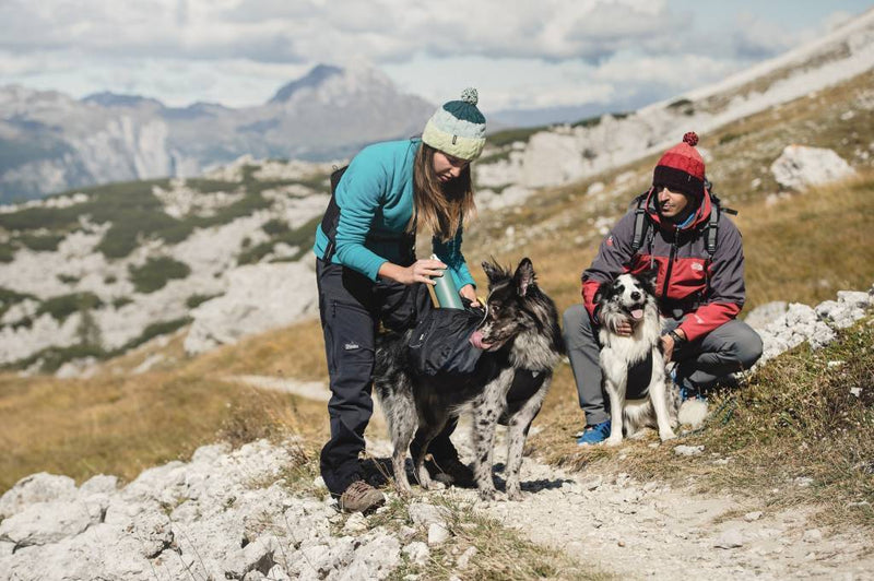 Trail Rucksack - ACHTIVEDOG CH